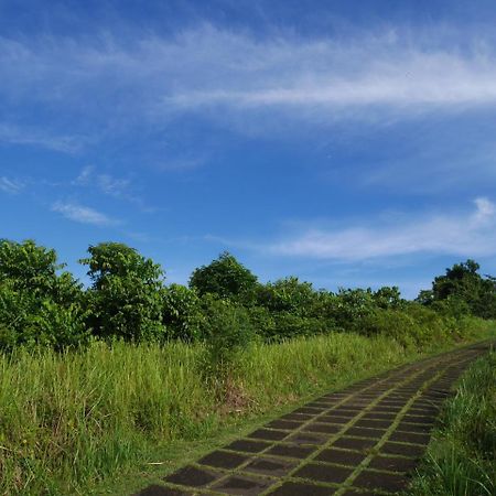 Sari Villa Ubud Екстер'єр фото