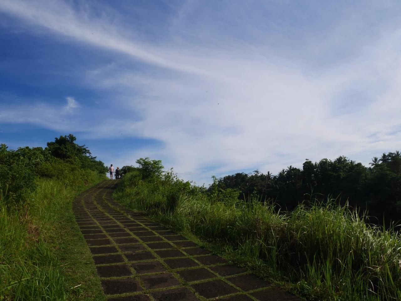 Sari Villa Ubud Екстер'єр фото